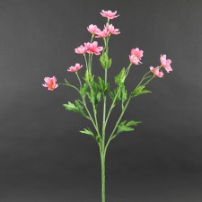 27"COSMOS MINI A4