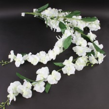 52"PHALO ORCHID BUSH A25