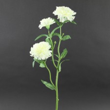 26"CARNATION STEM CREAM A4