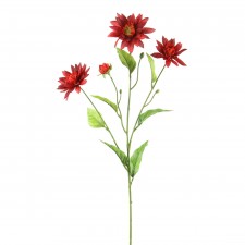 26"DUTCH ASTER A4