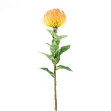 30"PINCHUSION PROTEA STEM