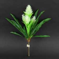 18"BROMELIA PLANT A25