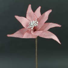 12"JOLLY STRP.POINSETTIA PICK