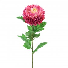 30"MUM STEM BEAUTY A4