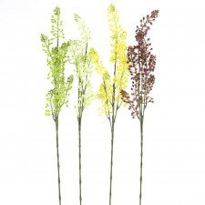 ASTILBE STEM A4
