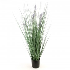 28"LAVENDER GRASS POTTED M25
