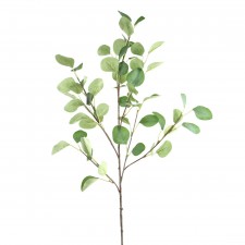 36"EUCALYPTUS SPRAY