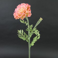 26"MARIGOLD SPRAY A4