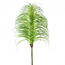 30"AIR PLANT