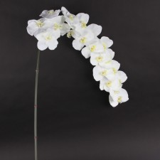66"ORCHID PHALAENOPSIS