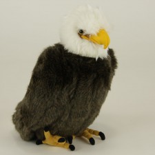 16"X8"X6" BALD EAGLE