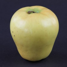 APPLE YELLOW A4