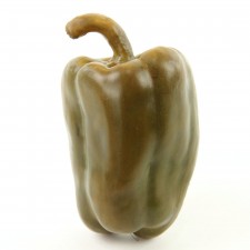 5"BELL PEPPER GREEN A4