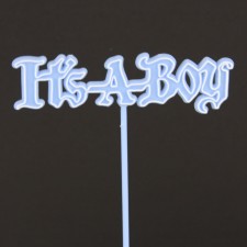 IT'S A BOY PICK 2DZ/PKG