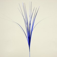 ONION GRASS 24PC/PKG ROYAL
