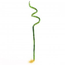 23"PLASTIC SPIR BAMBOO ST.A4