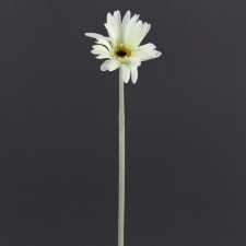 21" GERBERA DAISY CREAM B3