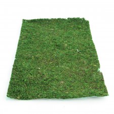 27.5"X15.75"GRN MOSS ROLL