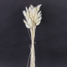23.5"DRIED BUNNY TAIL