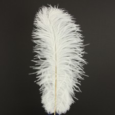 13"-16" OSTRICH FEATHER 6/BUN