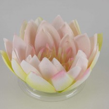 LG LOTUS HEAD PINK
