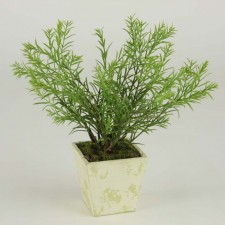 9" ROSEMARY POTTED GREEN