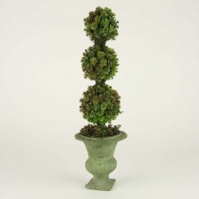 20"TRI.BALL SEDUM TOPPIARY