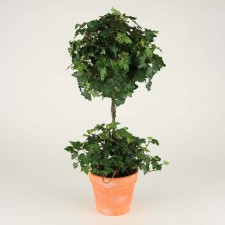 24" LACE IVY BALL TOPIARY