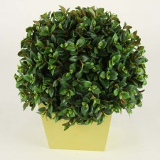 11.5" LIPSTICK BALL POTTED