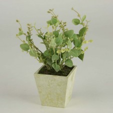 10" TYME POTTED AQUA