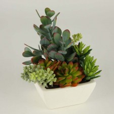 8" SUCCULENT W/POT GREEN