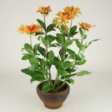 27" DAHLIA PLANT POTTED RED