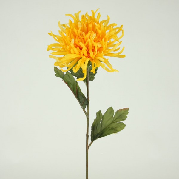 Spider Mums at Shinoda Design Center