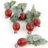 Shinoda Design Center 1-5-radish-w-lvs-6-pkg-a6