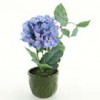 Shinoda Design Center 16-hydrangea-potted-blue-a4