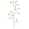 dried-products