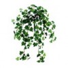 bushes