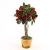 Shinoda Design Center 14-rose-topiary-red-a5