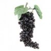 SM RD GRAPES X168 Shinoda Design Center sm-rd-grapes-x168
