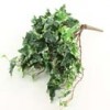 garlands