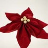 poinsettias