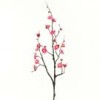 plum-blossom