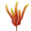 10" SUCCULENT PICK Shinoda Design Center 10-succulent-pick