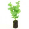 potted