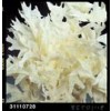 dried-products