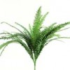 28" RUFFLE FERN X4 Shinoda Design Center 28-ruffle-fern-x4