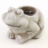Shinoda Design Center 5-5-cement-frog-planter