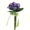 violets
