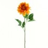 Shinoda Design Center 30-dahlia-x1-tangerine