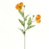 Shinoda Design Center 24-poppy-x2-gold